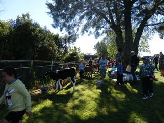 Calf Club kids 2012