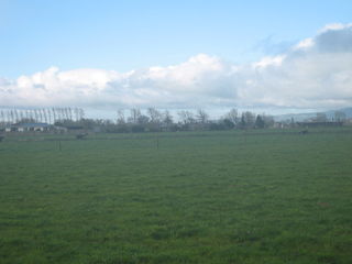 Central Road Farm