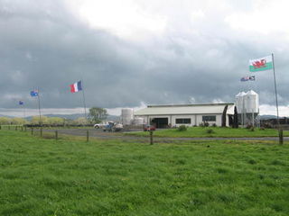 Rugby World Cup 2011